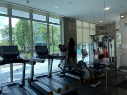 The Solitaire (D10), Condominium #456944431